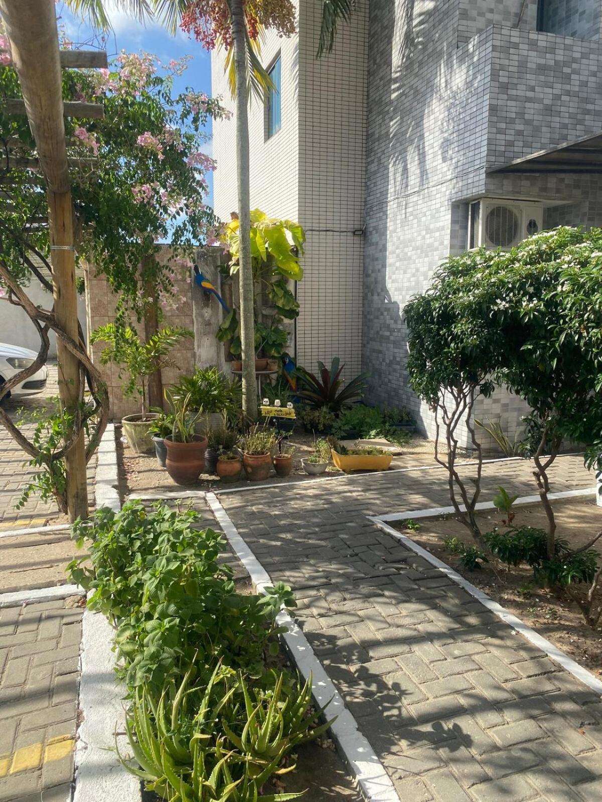 Varanda Gourmet Diversao Pet برايا دو فرانسيس المظهر الخارجي الصورة